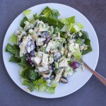 Avocado Chicken Salad